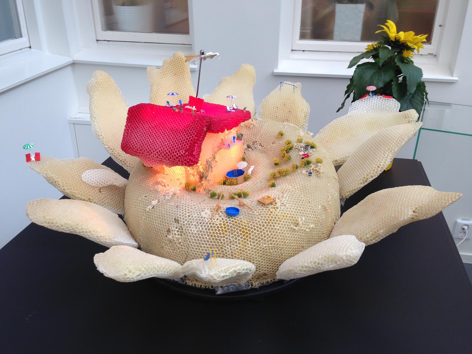 Jinsiy aloqa uchun Skype raqamlari